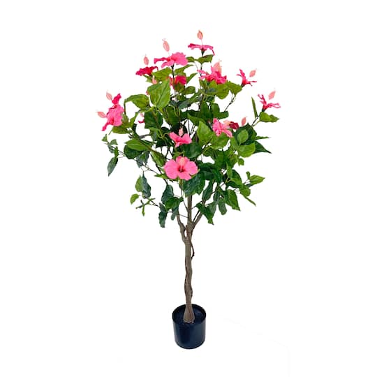 4ft. Potted Pink Hibiscus Tree by Ashland®
